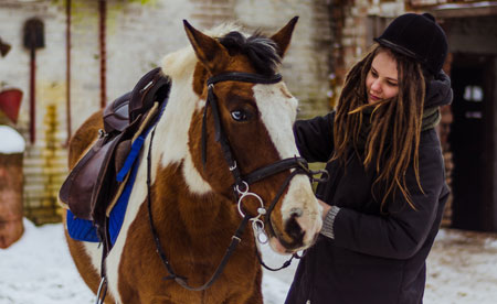 How to Choose an English Saddle